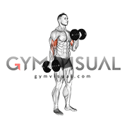 Alternate_Biceps_Curl.gif