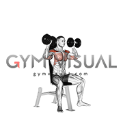 Seated_Shoulder_Press.gif